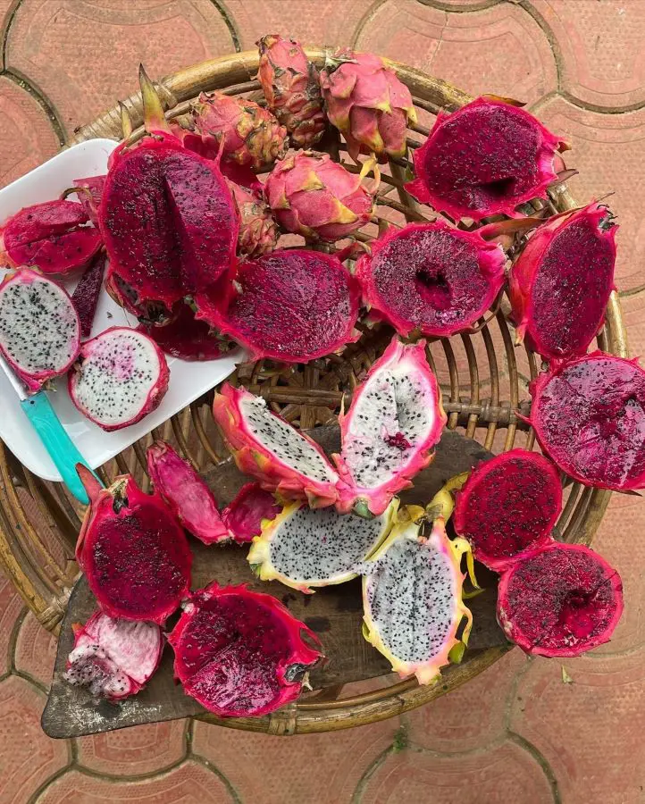 How To Eat Dragon Fruit In The Best Way