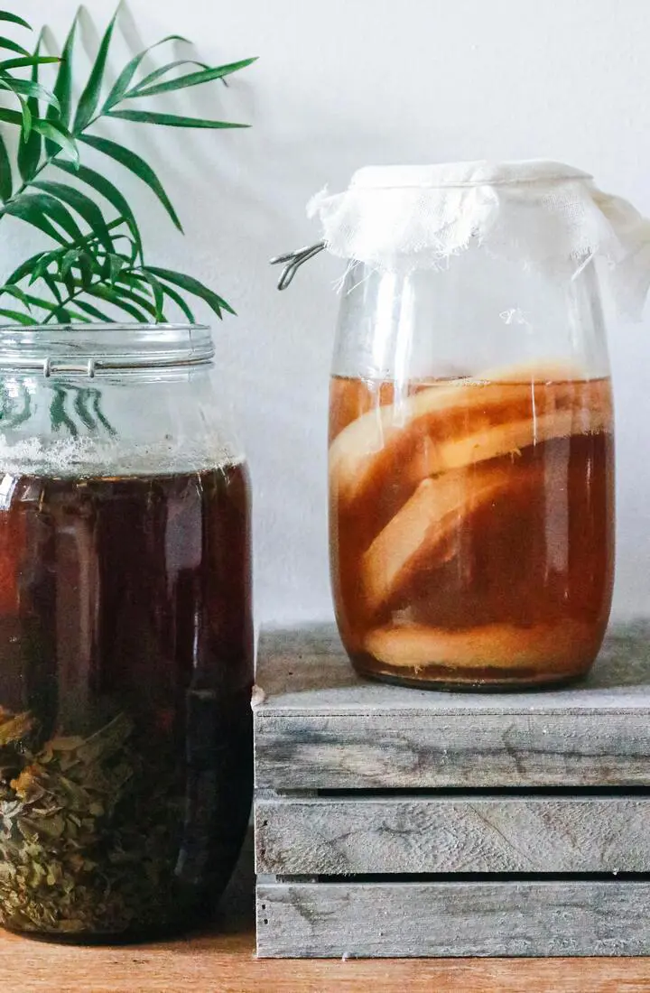 How To Make Kombucha Tea At Home: Kombucha Tea Recipe From Scratch