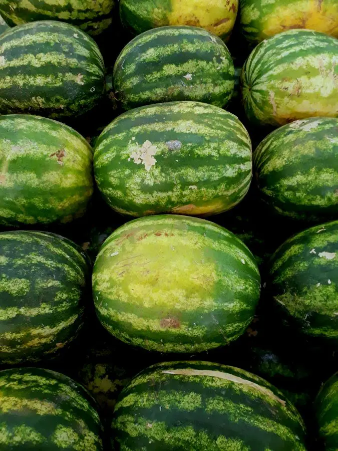 Easiest Ways To Ripen Watermelon