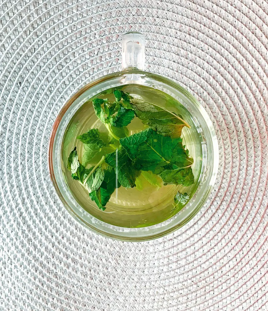 How To Make Mint Tea From Fresh Mint