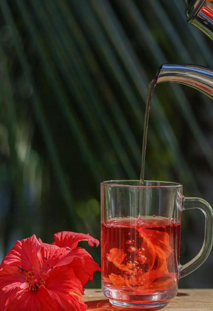 How To Make Hibiscus Tea: Hibiscus Tea Recipe In Simple Steps
